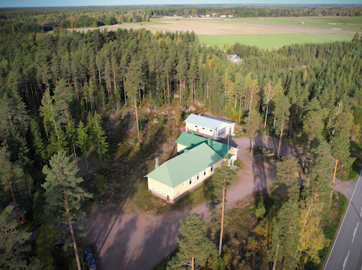 Furuborg från luften